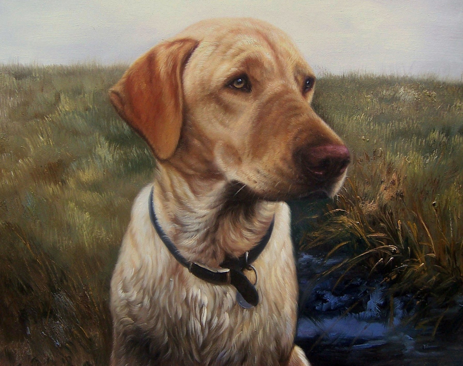 Pet Portrait in Oil
