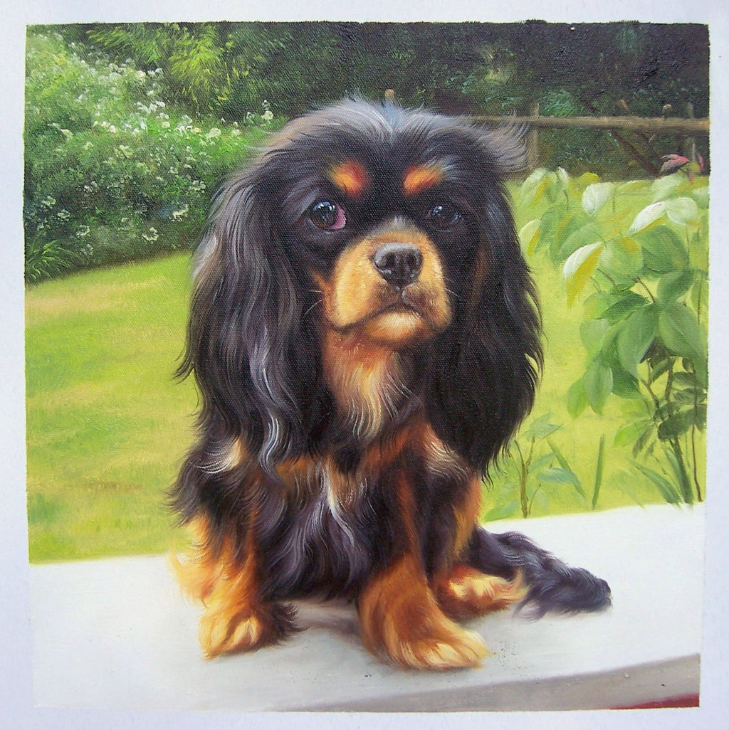 Pet Portrait in Oil