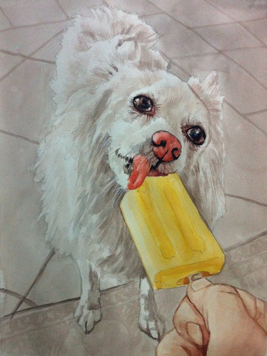 Pet Portraits  in Watercolor