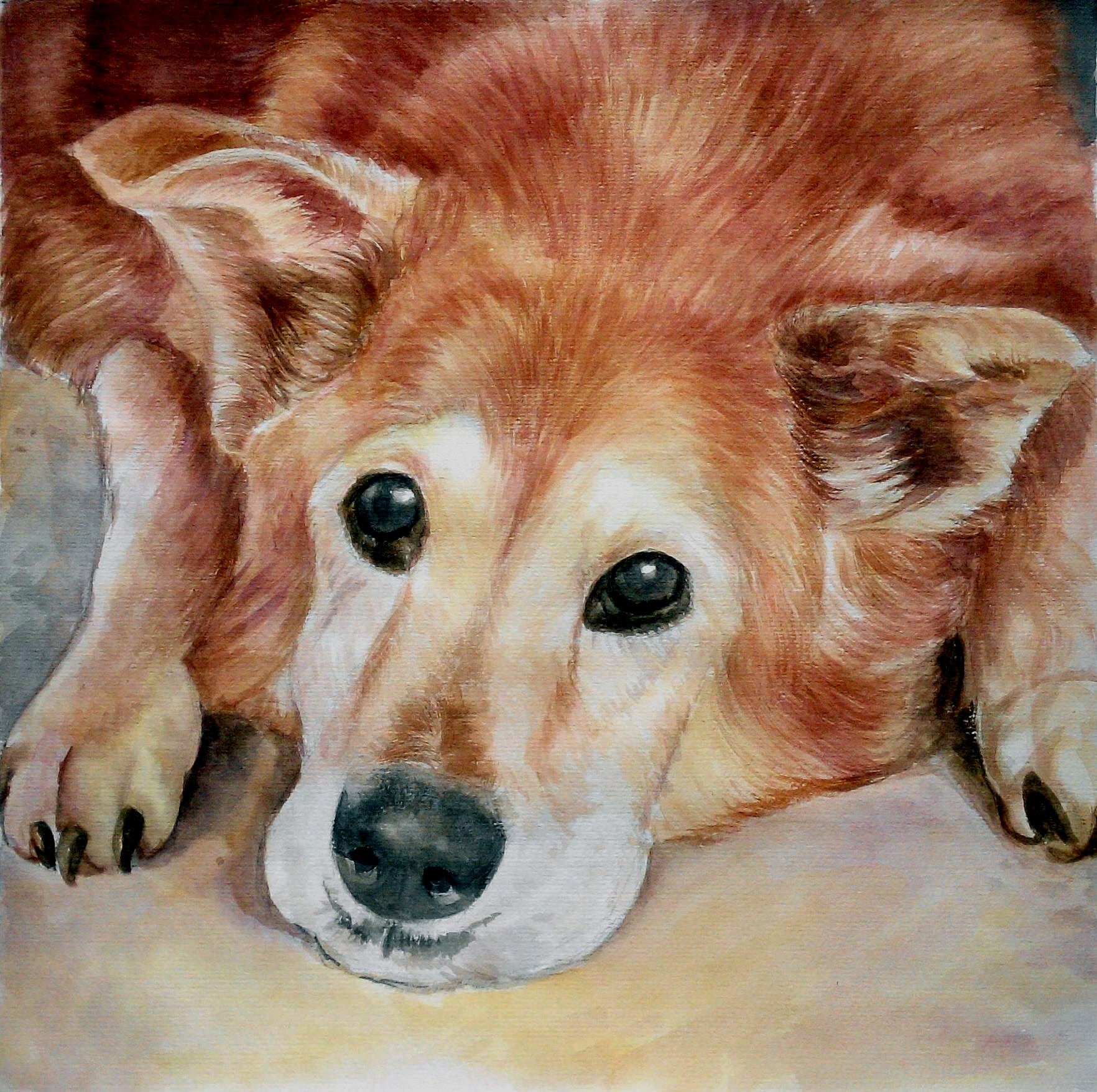 Pet Portraits  in Watercolor