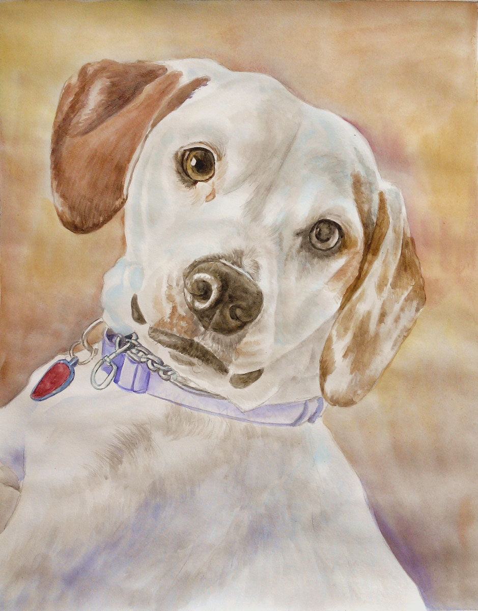 Pet Portraits  in Watercolor