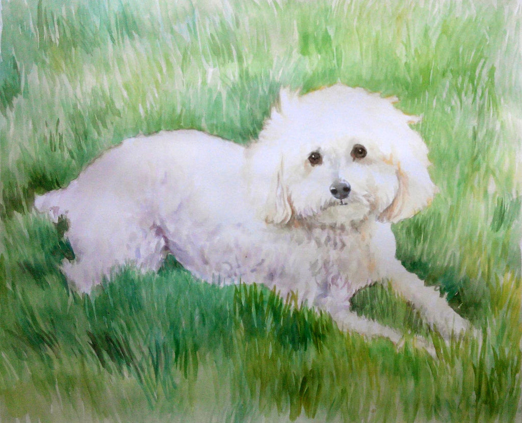 Pet Portraits  in Watercolor