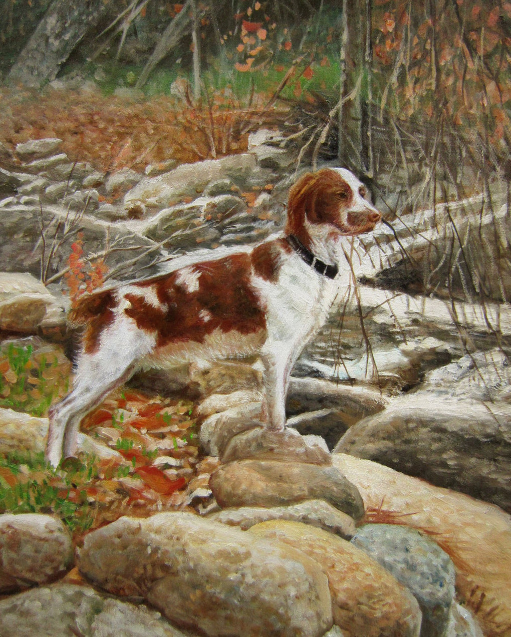 Pet Portrait in Oil